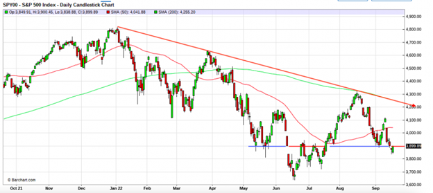 SPY500 DAILY CANDLESTICK