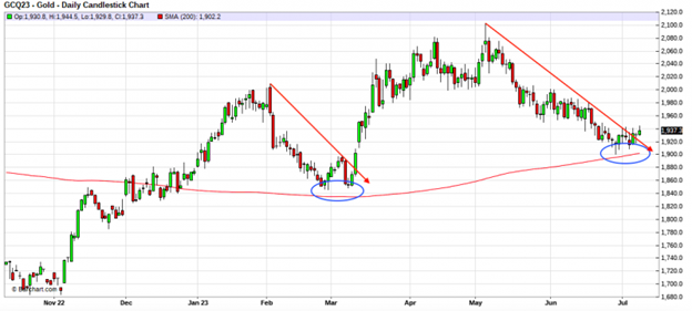 GCQ23-gold-daily-candlestick-chart