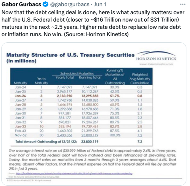 Gabor Gurbacs Maturity Structure of US