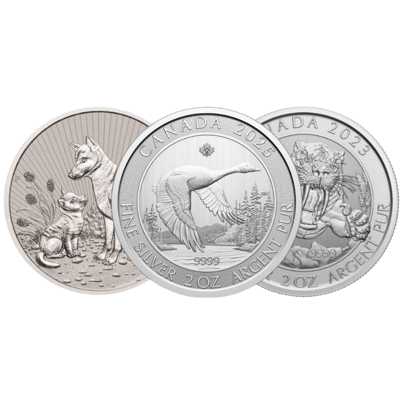 Our Choice 2 oz Silver Coin
