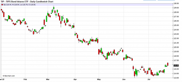 daily candlestick chart