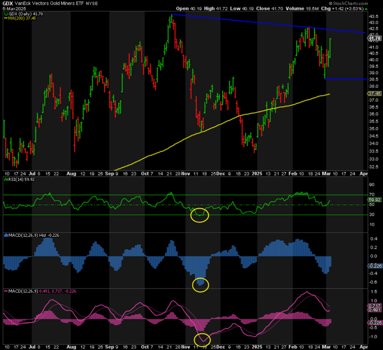 GDX